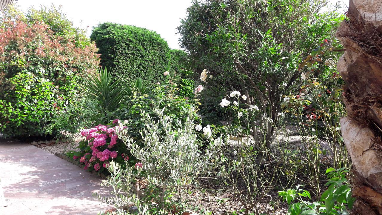 Caunes-Minervois Villa Angel - Spa מראה חיצוני תמונה
