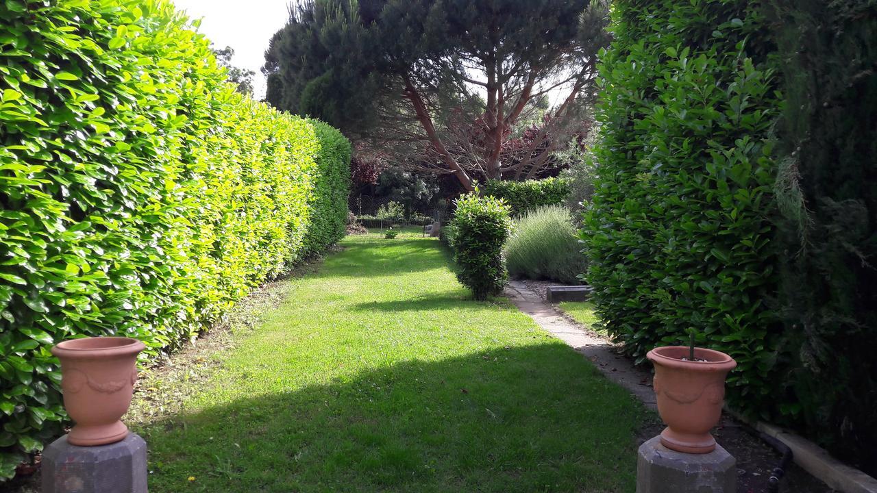 Caunes-Minervois Villa Angel - Spa מראה חיצוני תמונה
