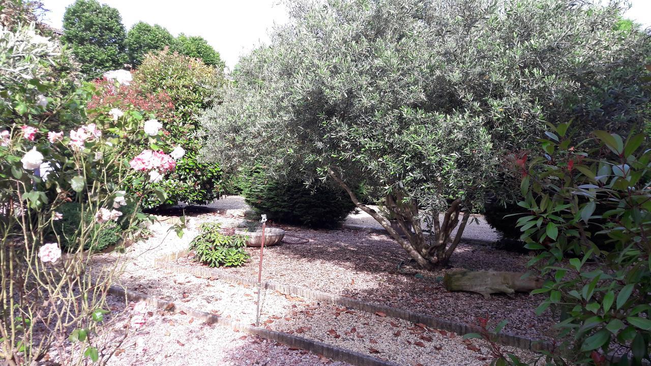 Caunes-Minervois Villa Angel - Spa מראה חיצוני תמונה